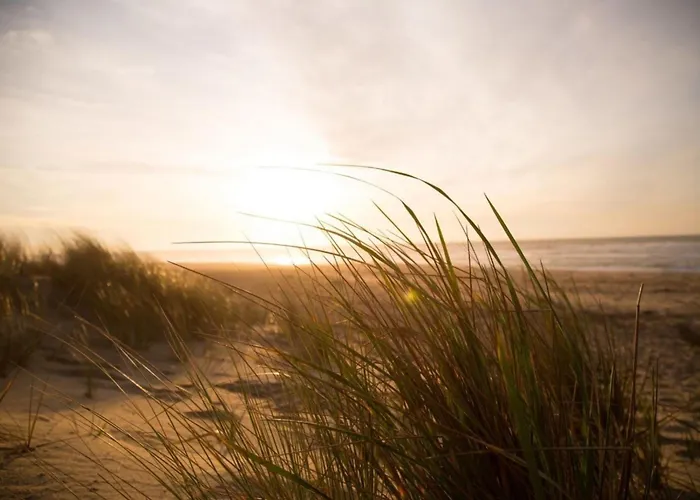 Bis 5 Personen Ohne Hund * Норден